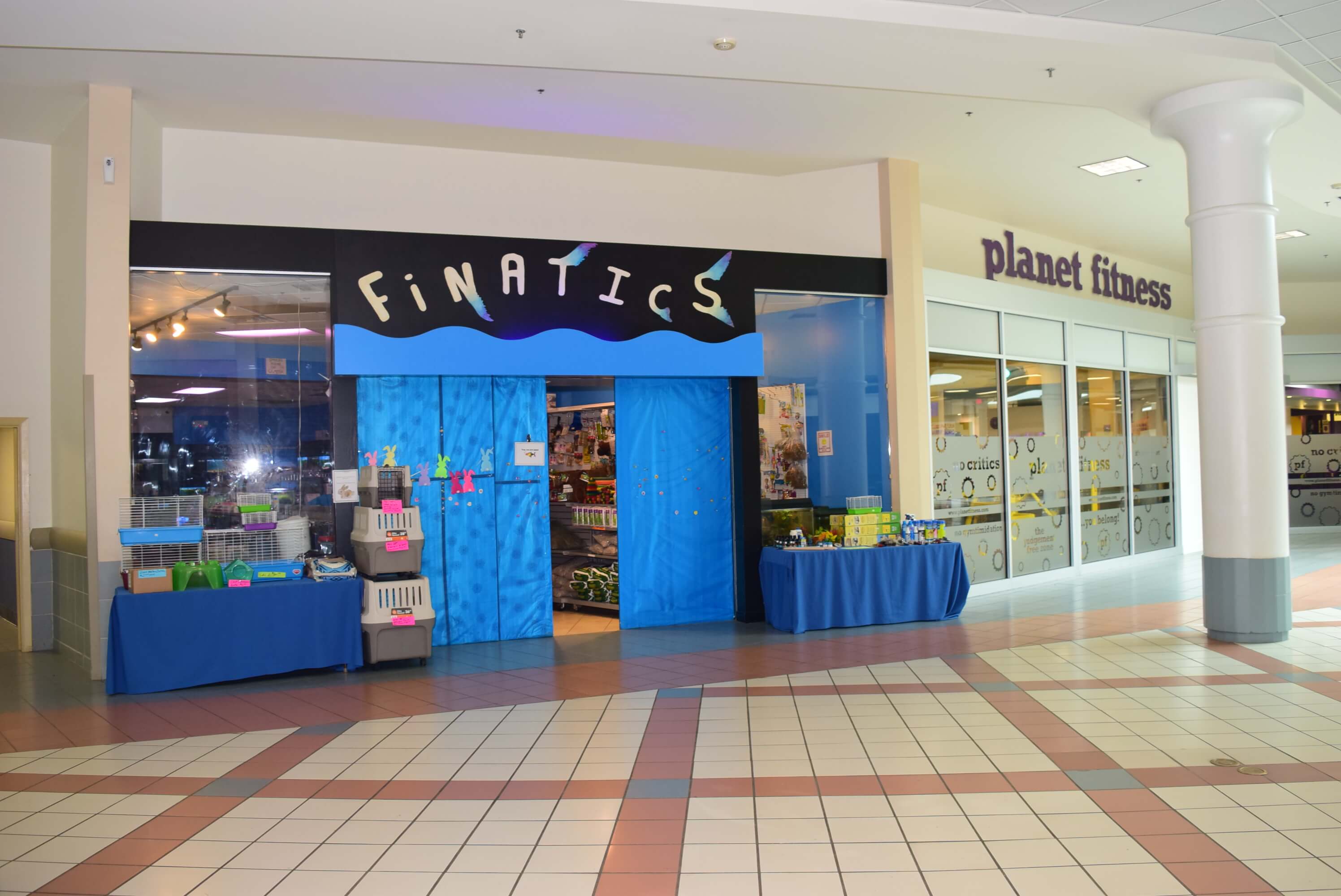 Finatics aquarium outlet